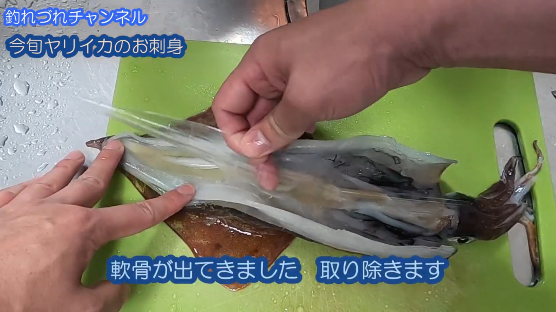 冬から春が旬 ヤリイカの捌き方 お刺身