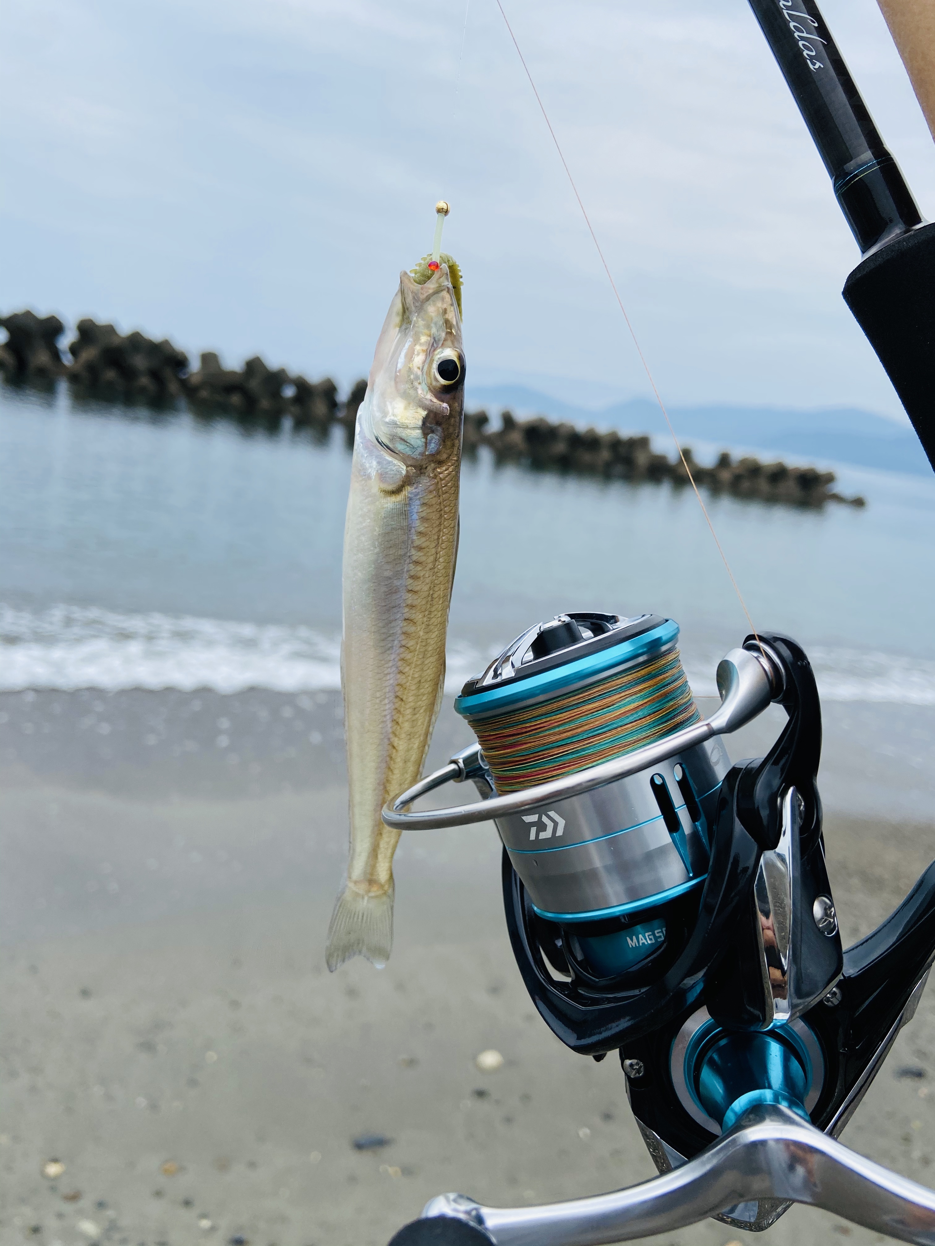 秋のキス釣り ちょい投げ メキロウ ひとり釣行