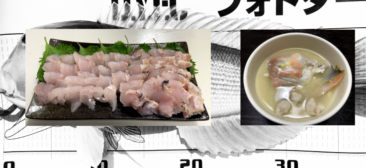 【オフショアジギング】深度80mで出会う高級魚!?