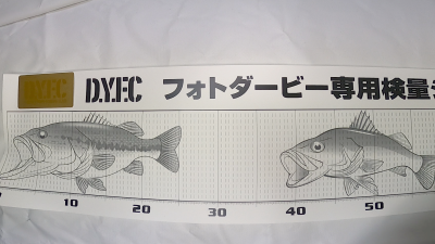ダイワヤングフィッシングクラブ81年20号〜83年31号の12冊＋トランプ m25909188125_1.jpg?1735953334