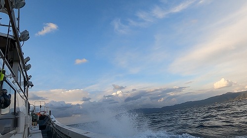 【サイト版】タルイカジギング!福井県敦賀の釣船『竹宝丸』でタルイカ釣りを学ぶ!/タルジギHowto!