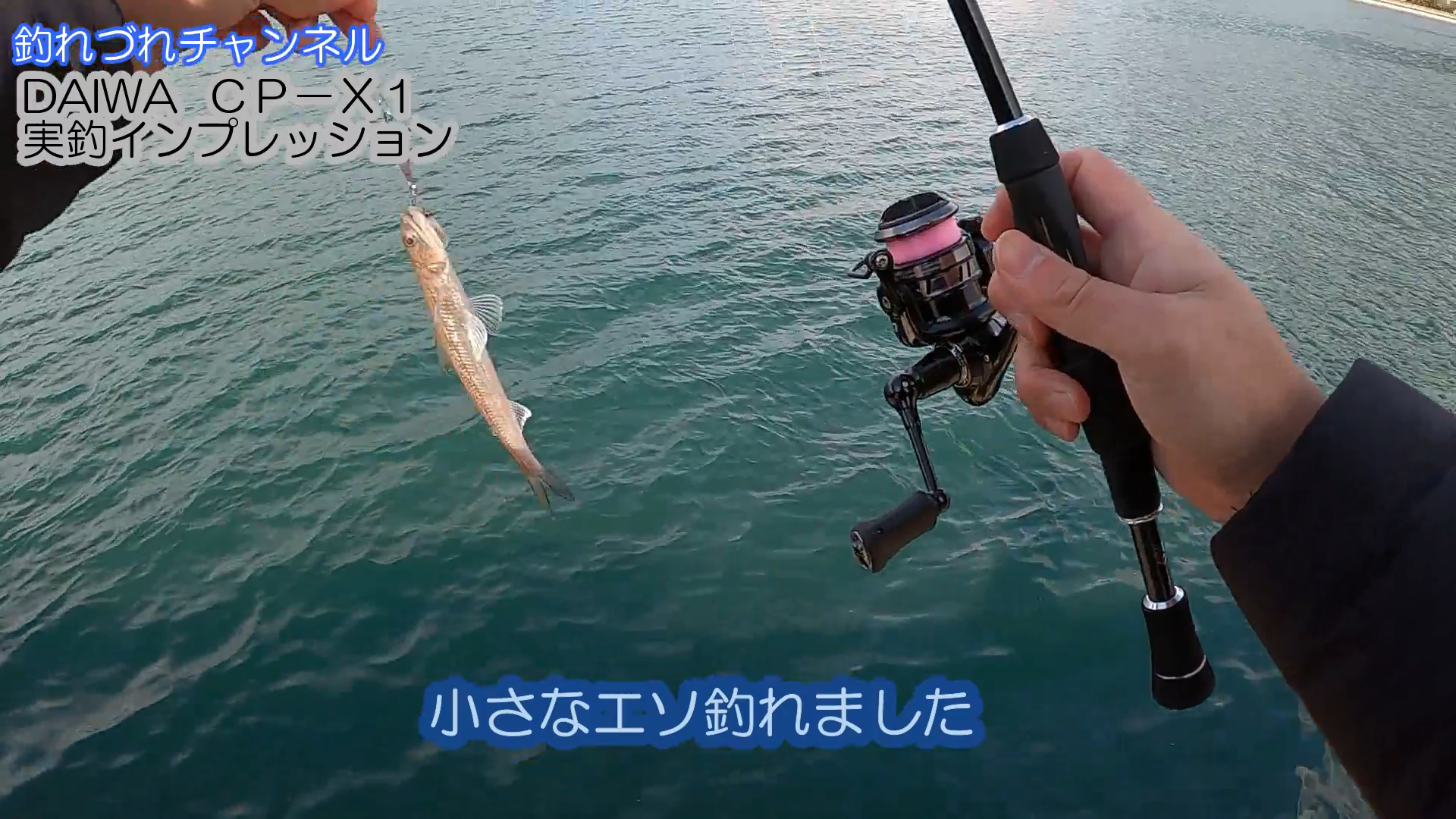 Daiwaモバイルタックル“CP−X1” −実釣インプレ−